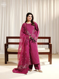 Winter Viscose Embroidered suit